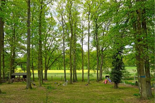 Waldgrundstück - 