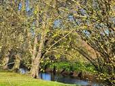 Gartenufer - Zuhause statt einfach nur Immobilie - gepflegtes Reihenhaus mit idyllischem Garten an der Mühlenau