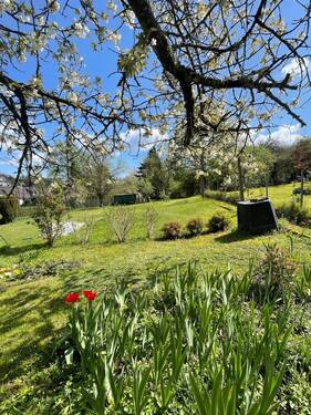 IMG_1558.jpeg - Einfamilienhaus mit 157,00 m&sup2; in Völklingen zum Kaufen