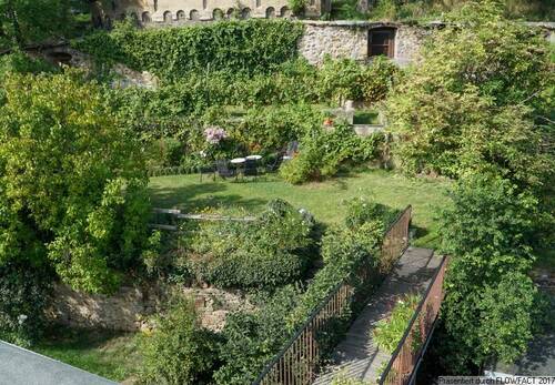 Blick in den Garten - 