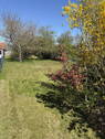 Bild 12 - 