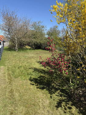Bild 12 - 