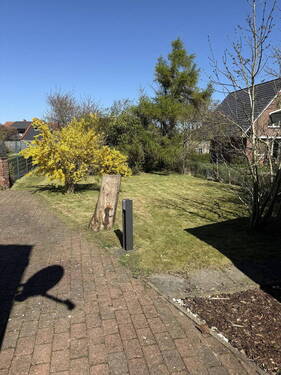 Bild 13 - 