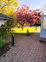 Bild 18 - 