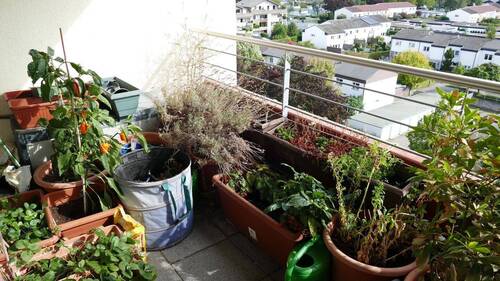 Balkon in voller Blüte - 3 Zimmer Etagenwohnung in Kornwestheim