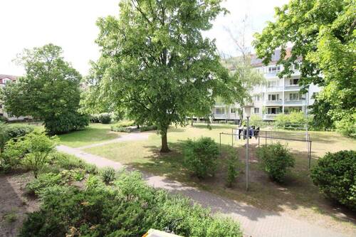 Gemeinschaftsgarten - 