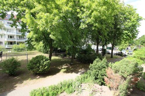 Gemeinschaftsgarten - 