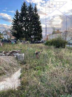 Ansicht - Grundstück in Cottbus