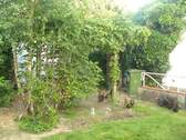 Garten (3) - 