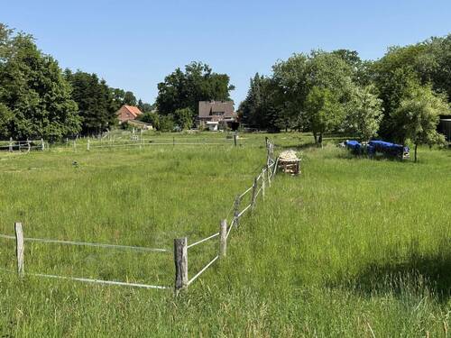 verpachtete Wiesenfläche - 