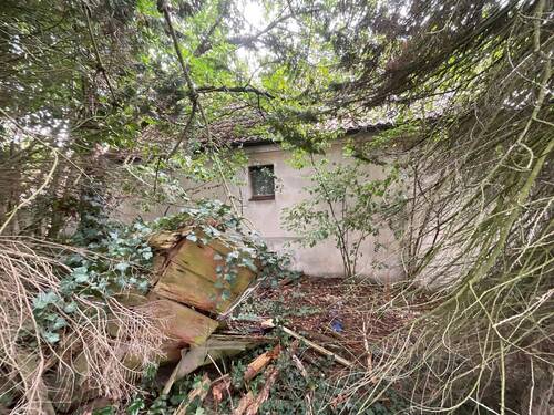 IMG_0663 - Grundstück in Sulzbach-Rosenberg zum Kaufen