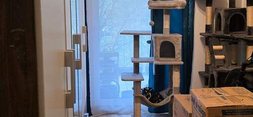 Kinder-/Arbeitszimmer - 