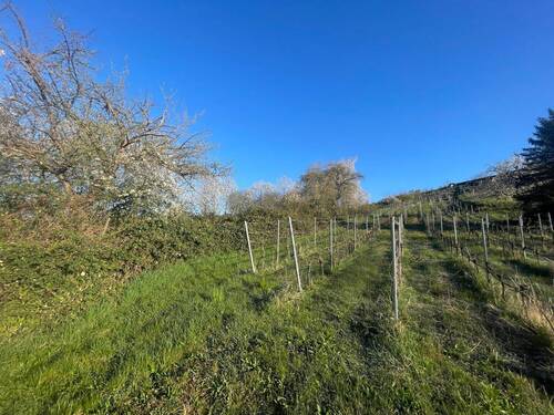 image00002 - Grundstück zum Kaufen in Vaihingen an der Enz