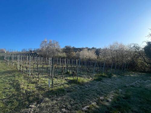 image00005 - Grundstück in Vaihingen an der Enz zum Kaufen