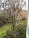 Bild 19 - 