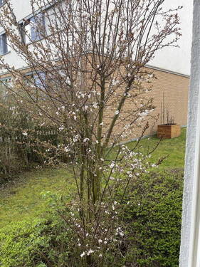 Bild 19 - 