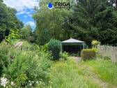 Blick in den Garten - 