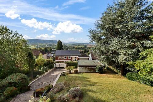 Blick ins Grundstück - 