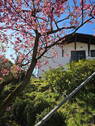 Bild 1 - Einfamilienhaus in zentraler Lage