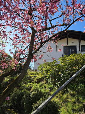 Bild 1 - Einfamilienhaus in zentraler Lage