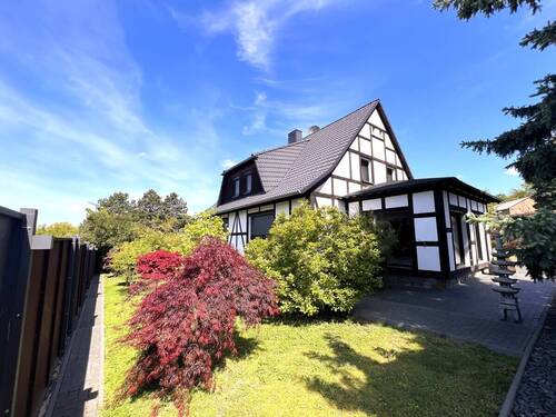 Ziersträucher mit hinterer Ansicht des Hauses - 