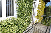 Bild16 - 