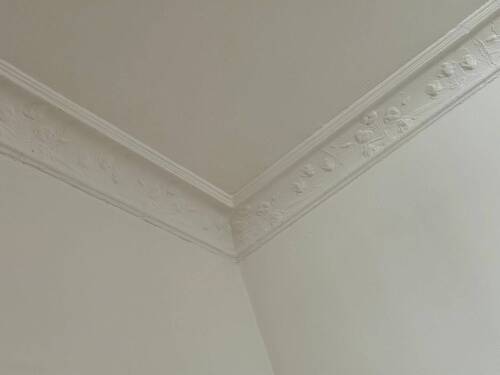 IMG_4622.jpeg - 