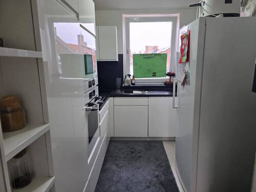 PHOTO-2025-03-11-18-55-38 4.jpg - 