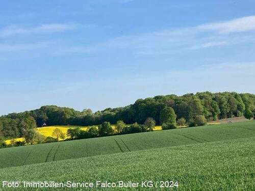 Ansicht - 6 Zimmer Mehrfamilienhaus, Wohnhaus zum Kaufen in Löhne