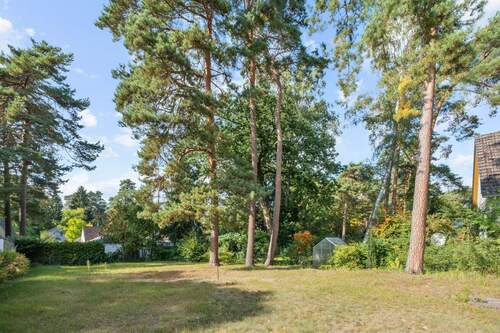 Garten - 5 Zimmer Einfamilienhaus zum Kaufen in Berlin