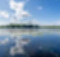 Architektonisches Highlight: modern, stylisch mit Wohnung auf großem Grundstück - Berlin Heiligensee