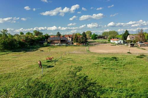 Am_Reitplatz - 