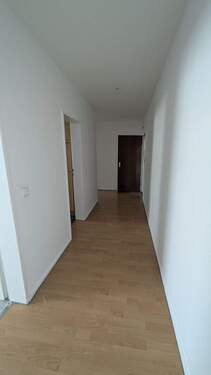 PXL_20240724_144105924.jpg - 