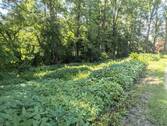 Ansicht - 'IDYLLISCHER BAUGRUND MIT TOP ANBINDUNG'