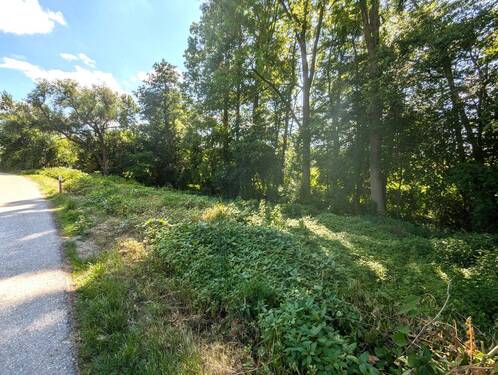 Ansicht 4 - Grundstück in Obertaufkirchen zum Kaufen