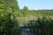 der See - 