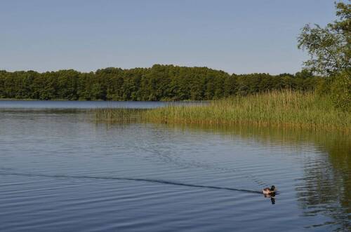 der See - 