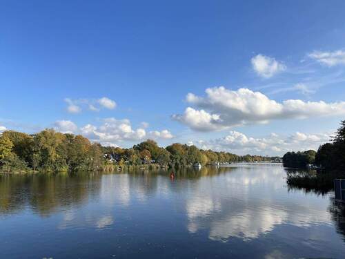 Havel - 