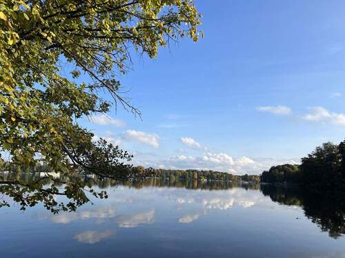 Havel - 