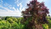 Ausblick - 