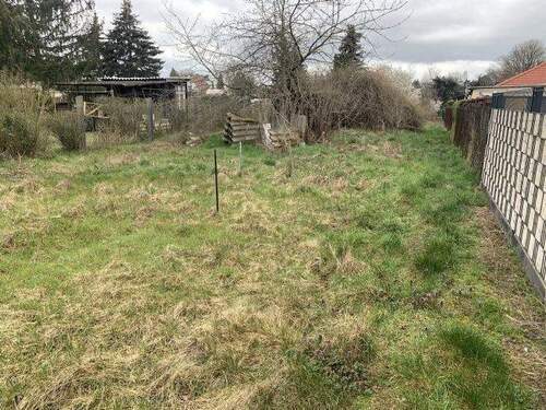 Blick vom Gartenhaus - 