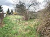 Blick von der Grundstücksmitte - 
