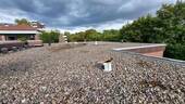 Dach1 - 