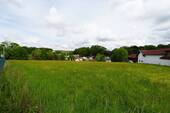 DSC00725.JPG - 