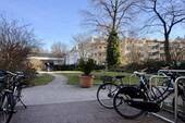 Grüner Innenhof - 