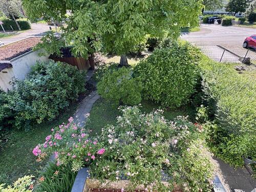 Blick in den Garten - 