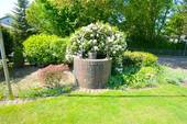 Brunnen - 