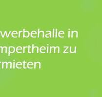 :: Vielseitig Nutzbare Geräumige Halle für Lager oder Produktion (MG 987-A):: - Lampertheim