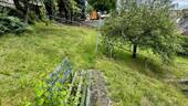 Blick in den Garten - 