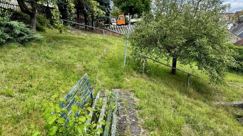 Blick in den Garten - 